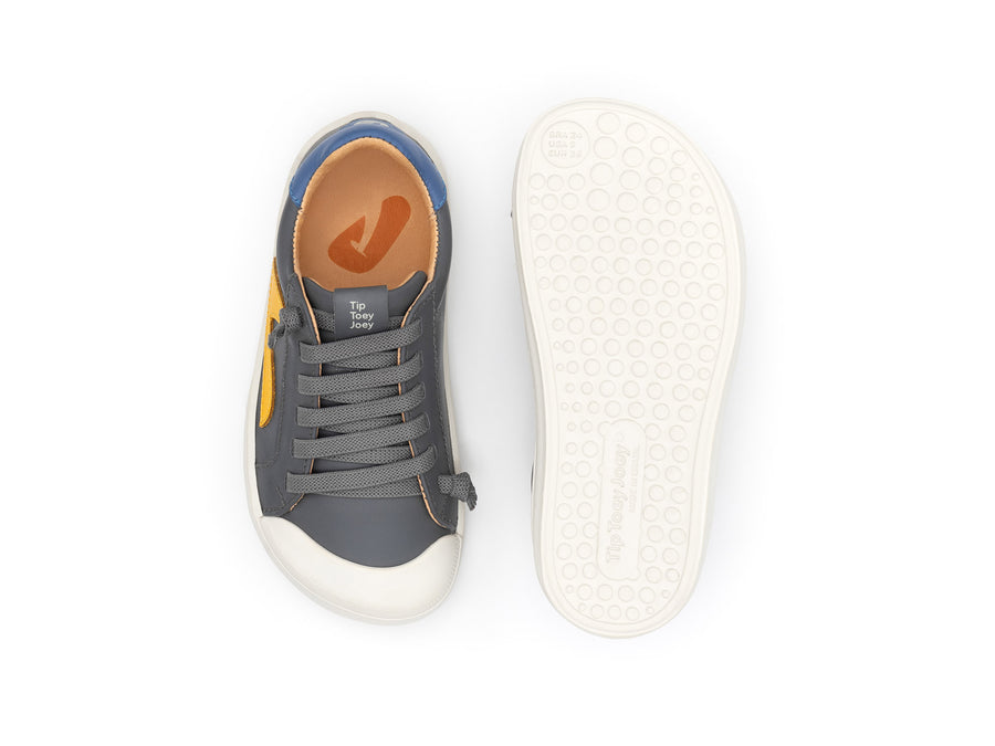 Tip Toey Joey Boy's Ground Sneakers - Slate Blue / Caja / Blue Tang