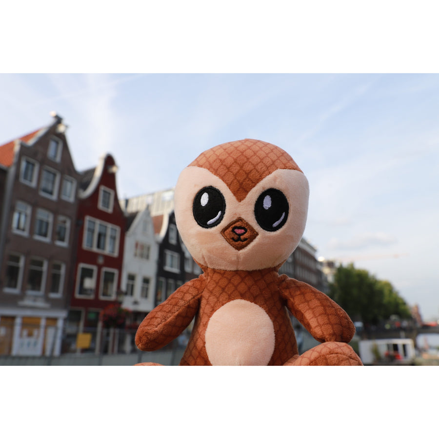 Axol Friends Java the Pangolin Plush – Just Shoes for Kids